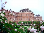 Scorcio dal roseto della Venaria Reale.