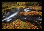 Angolo d'autunno