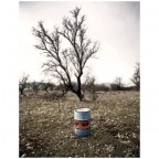 Senza parole Senza parole