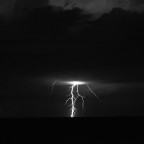 albero di luce albero di luce