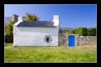 Blue d'Ouessant Blue d'Ouessant