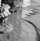 Altro Mondo Altro Mondo