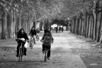 Lucca: mura romane