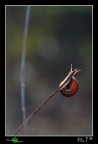 ...Rette,curve,luci e colori... ...Rette,curve,luci e colori...