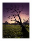 Il Guardiano della notte