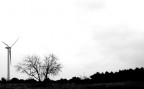 albero a vento albero a vento