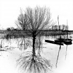 ...in padule... ...in padule...