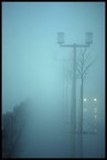 Nebbia Nebbia