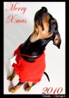 Merry Xmas Merry Xmas