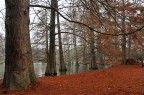 _DSC0339 _DSC0339