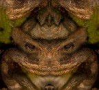 creature