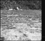 BLDR|matteo gambaro BLDR|matteo gambaro