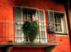 colore d'inverno