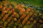Aspettando l'inverno.....