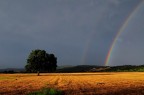 quercia&amp;arcobaleno