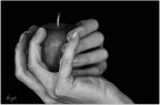 peccato originale peccato originale