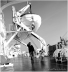 man with his dog, on board man with his dog, on board