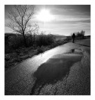 A spasso col cane A spasso col cane