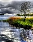 HDR Irish Lake (Detail) - The fisher HDR Irish Lake (Detail) - The fisher