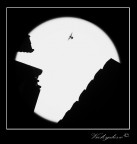 Ti mangerei.. Ti mangerei..