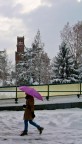 walk on the snow side.... walk on the snow side....