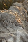 stone stone