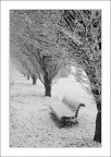 Winter Diagonal