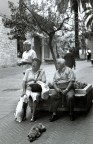 Tra moglie e marito... Tra moglie e marito...