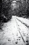 verso................. verso.................