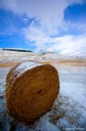 Castelluccio Castelluccio