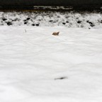 .. e il naufragar m'è dolce... .. e il naufragar m'è dolce...