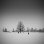 Neve a Ferrara Neve a Ferrara