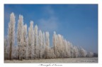 Ho pensato che una foto invernale fosse un bel modo per augurare a tutti un sereno Natale e un felice anno nuovo.

:amici: