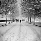 senza titolo senza titolo