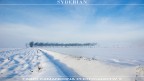 syberian