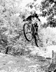 mtb step-up mtb step-up
