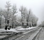 nevicata... nevicata...