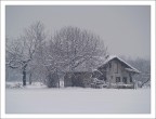 grigio inverno grigio inverno