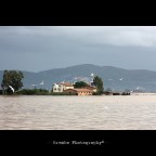 Alluvione Massaciuccoli... Alluvione Massaciuccoli...