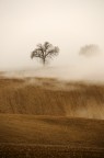 Brume Brume