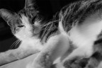 Yawn.. Yawn..
