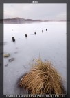 iced