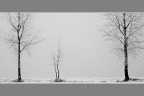 Dopo la nevicata Dopo la nevicata