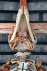 Una balena crocifissa al Museo di Storia Naturale della Certosa di Calci (PI)