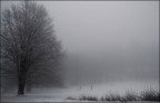 nebbia &amp; neve