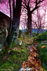 Monte Gallo