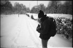 Alice in Snowland Alice in Snowland