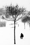 Giochi sulla Neve Giochi sulla Neve