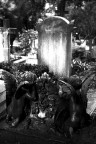 R.I.P.  un progetto iniziato da poco e che percorre i Cimiteri Italiani per raccontare con un punto di vista personale questi luoghi.
Il lavoro  realizzato completamente in analogico.

LEICA R5
Elmarit-R 50 mm. f/2
Pellicola Kodak T-Max 400
Scansione con HP Scanjet G4050