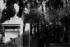 R.I.P.  un progetto iniziato da poco e che percorre i Cimiteri Italiani per raccontare con un punto di vista personale questi luoghi.
Il lavoro  realizzato completamente in analogico.

LEICA R5
Elmarit-R 50 mm. f/2
Pellicola Kodak T-Max 400
Scansione con HP Scanjet G4050